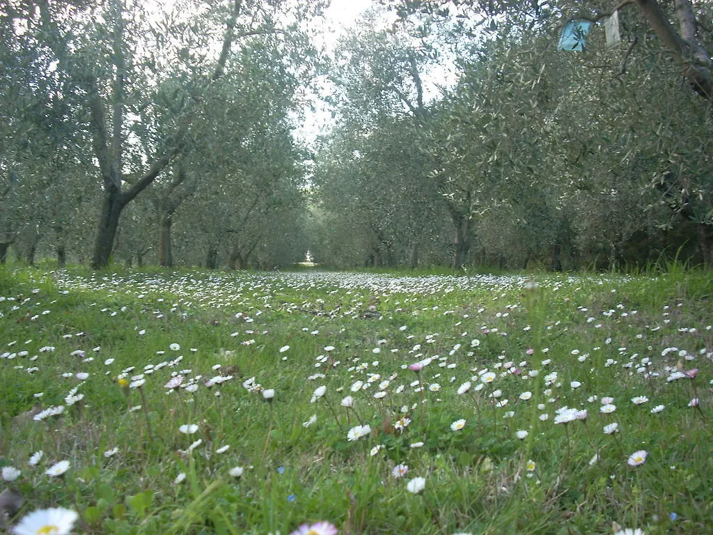 Residence Ai Campi Da Golf Saturnia 0*,  Italien