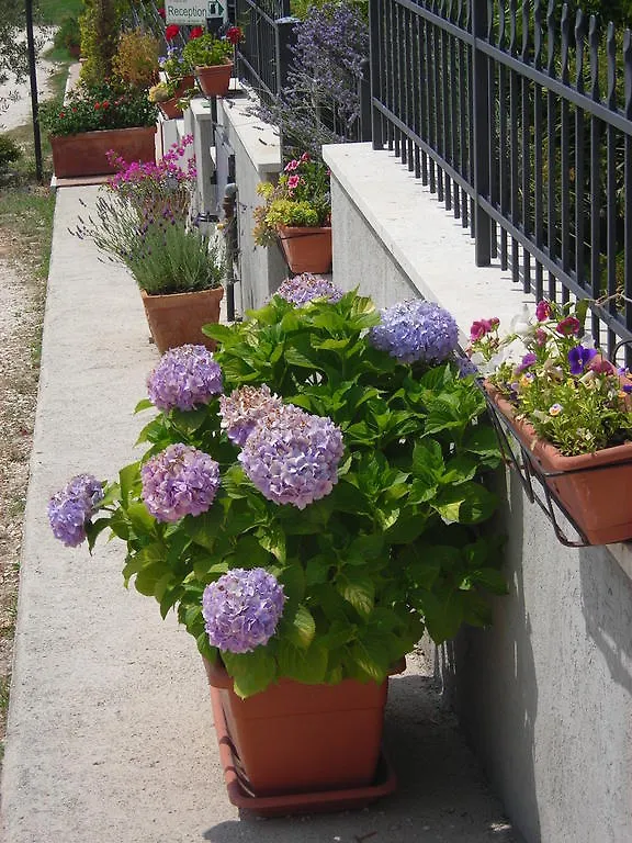 Residence Ai Campi Da Golf Saturnia