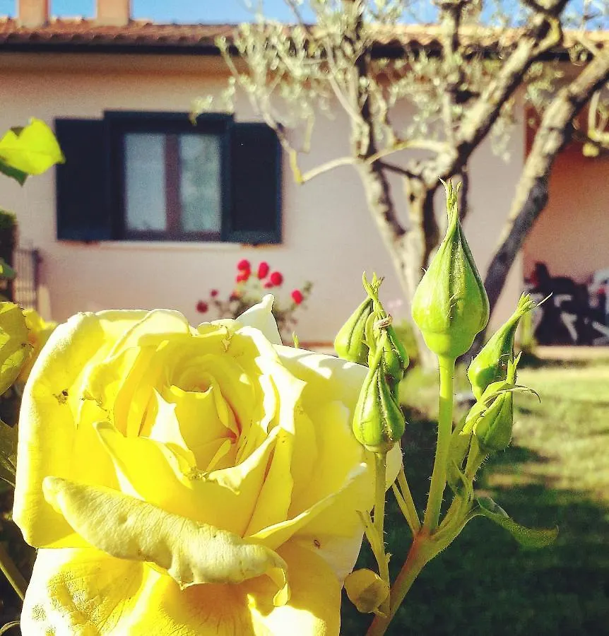 Residence Ai Campi Da Golf Saturnia Lantställe